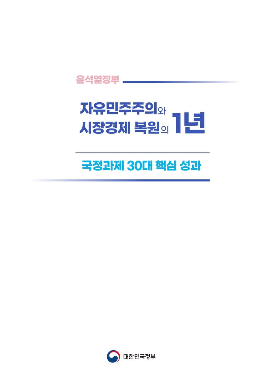 국정과제 30대 핵심성과 3페이지