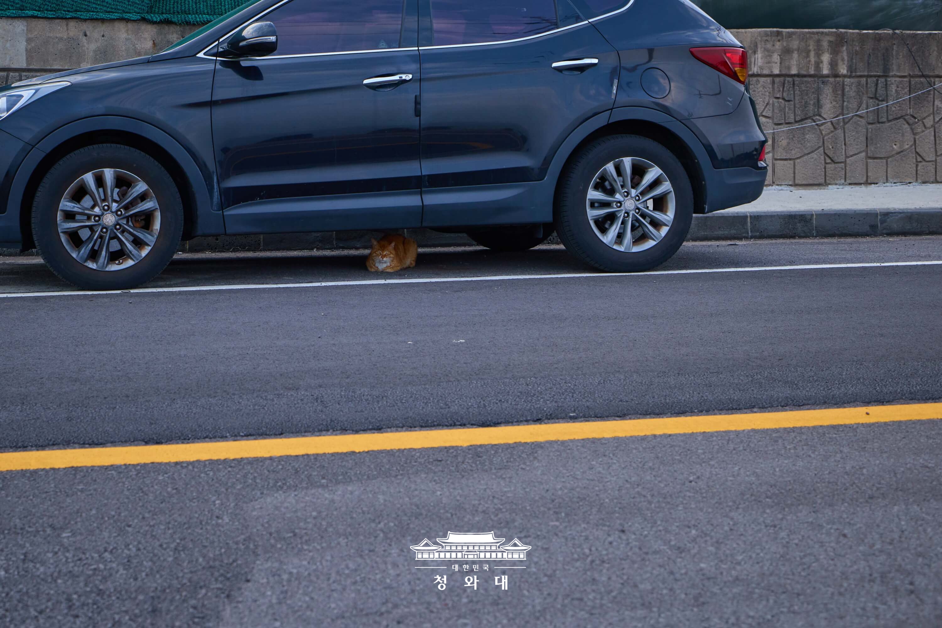 부부의날14