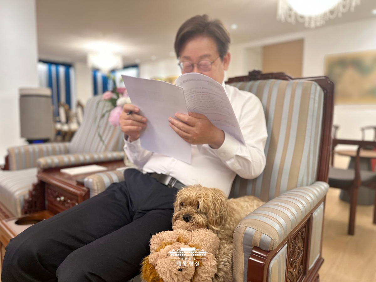 저희 가족의 일원인 '바비'를 소개합니다 슬라이드2