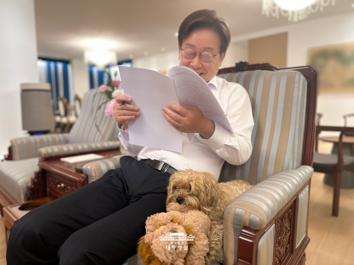 저희 가족의 일원인 '바비'를 소개합니다 사진