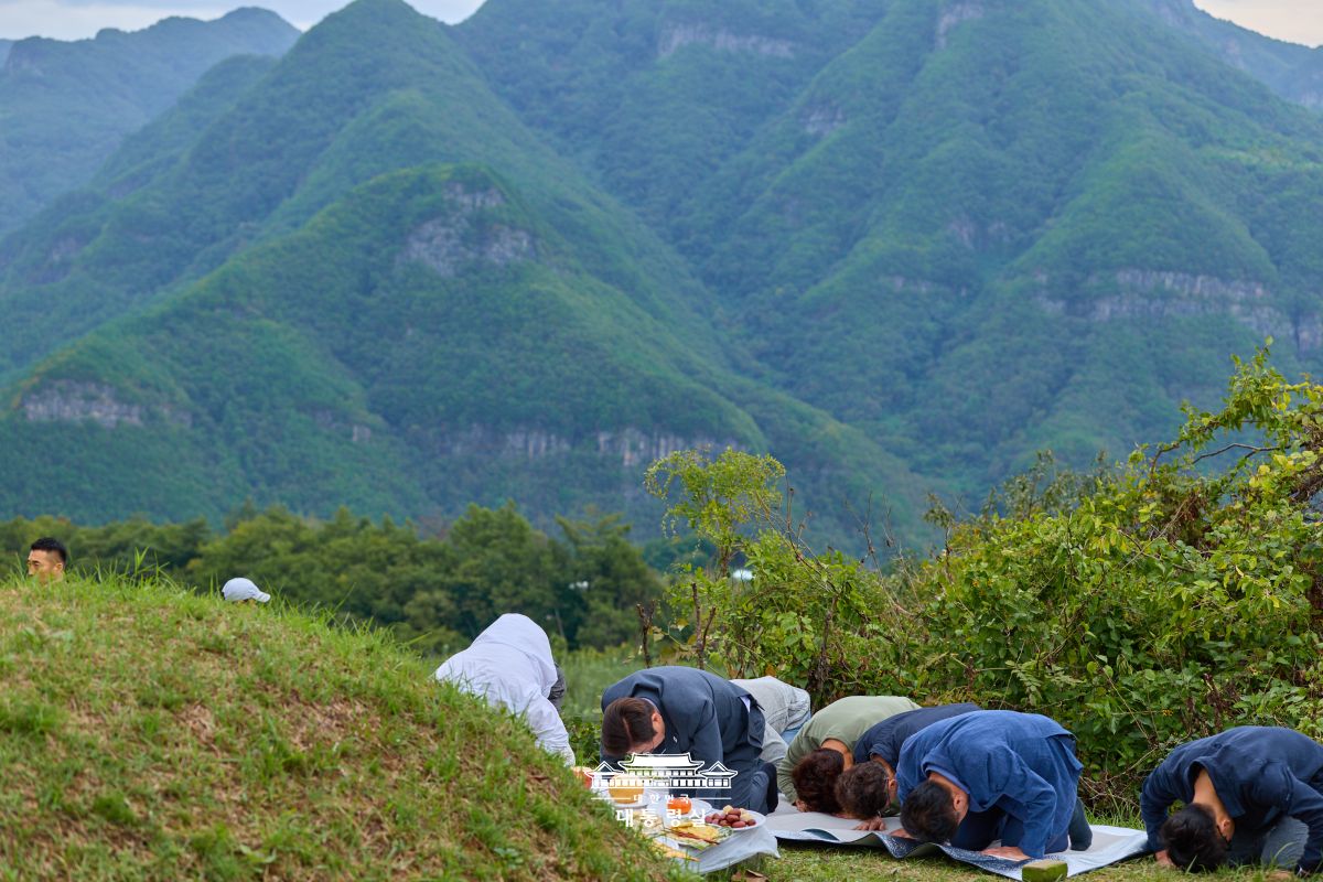 고향을 찾아 선영에 인사를 드렸습니다 사진