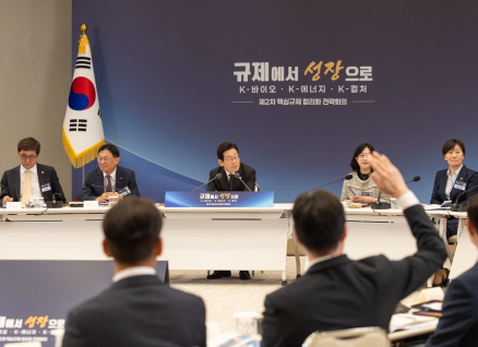 경제·산업 도약을 위한 신산업 규제 재설계